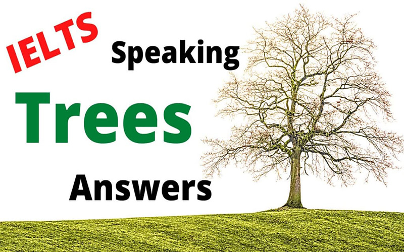 IELTS Speaking Tree