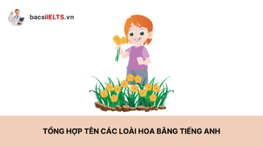 Tên các loài hoa bằng tiếng Anh