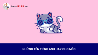 Tên tiếng Anh hay cho mèo